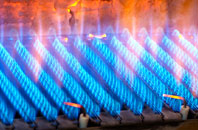 Snelston gas fired boilers
